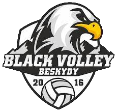 15_Black-Volley_logo